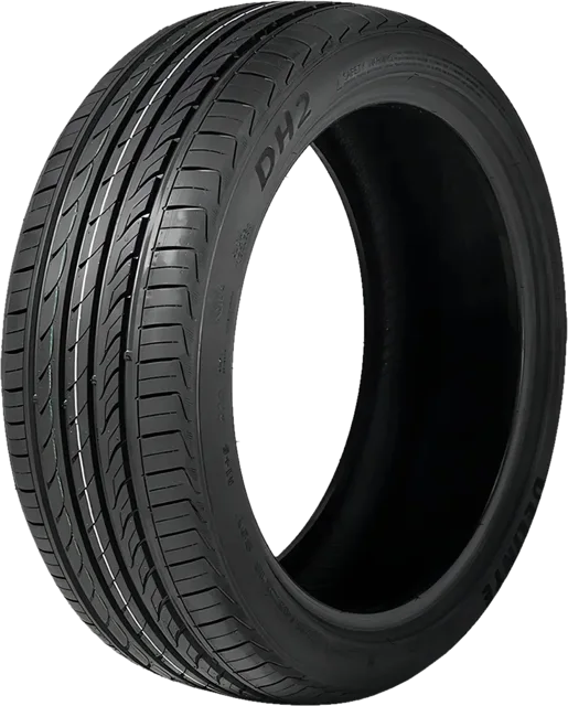 Pneu Delinte DH2 205/60 R16