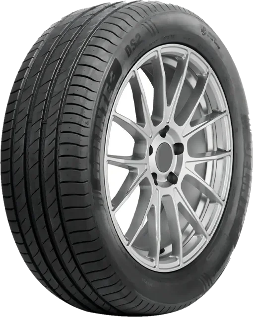 Pneu Delinte DS2 185/65 R15