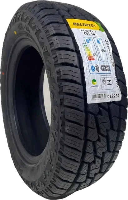 Pneu Delinte DX10 205/60 R16
